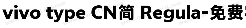 vivo type CN简 Regula字体转换